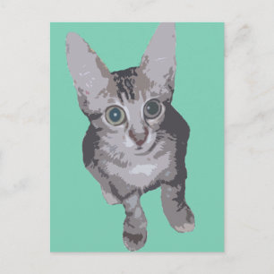 Kitten Big Eyes Pop Art Postcard
