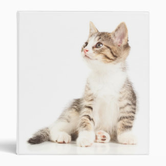 Kitten Binder