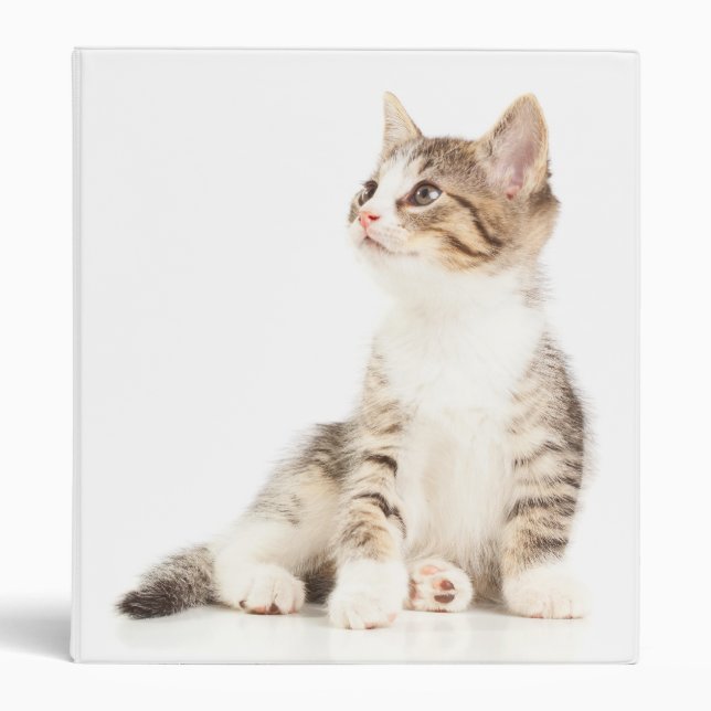 Kitten Binder (Front)