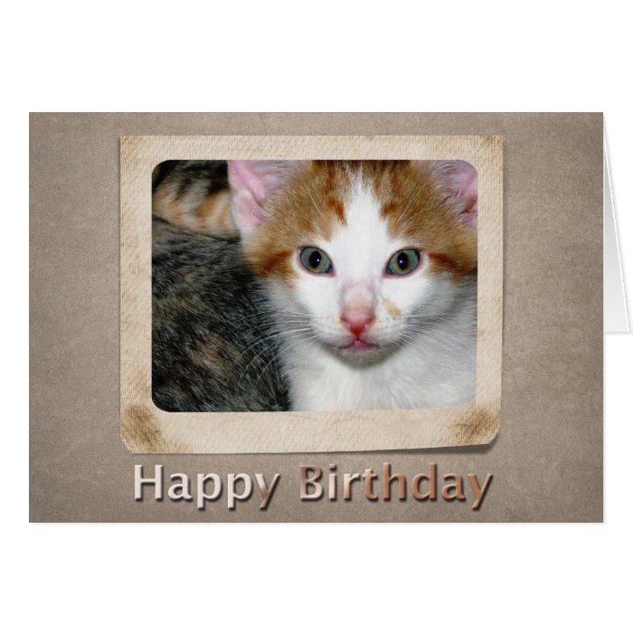 Kitten Birthday Card