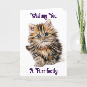 Kitten Birthday Greeting Card