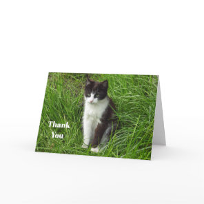 Kitten Black and White Cat Photo Thank You Card