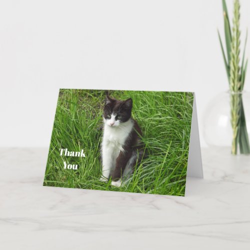 Kitten Black and White Cat Photo Thank You Card