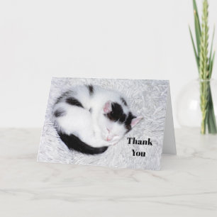 Kitten Black and White Sleeping Photo Letterpress Thank You Card