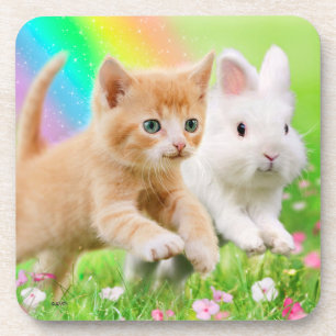 Kitten & Bunny with Rainbow Drink Coaster