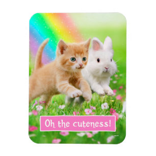 Kitten & Bunny with Rainbow Magnet