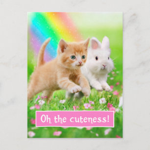Kitten & Bunny with Rainbow Postcard