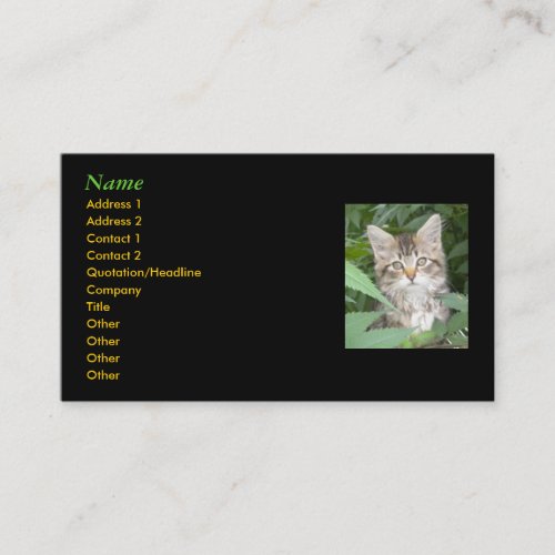 Kitten Business Cards