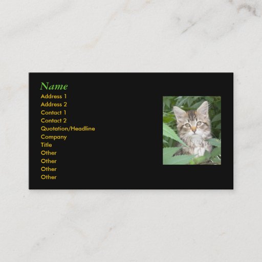 Customizable Kitten Business Cards