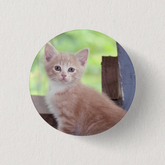 Kitten  button (Front)