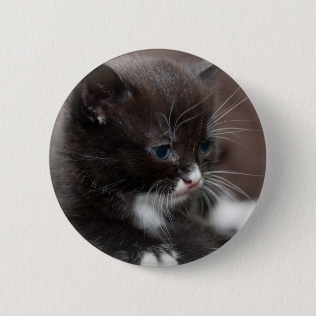 Kitten Button (Front)