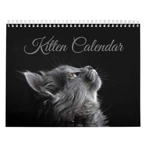 Kitten Calendar