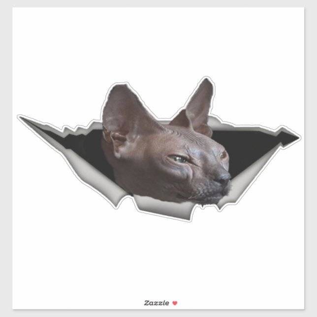 Kitten Canadian Sphynx Car sticker Sphynx (Sheet)