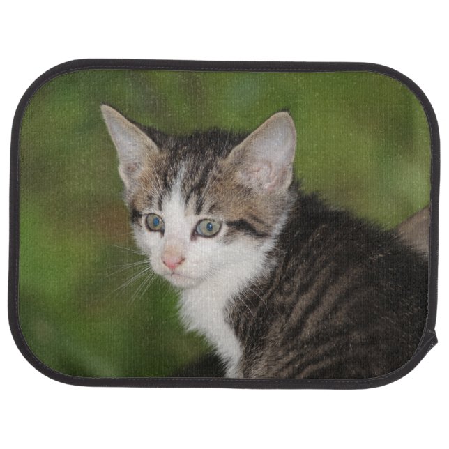 Kitten Car Floor Mat (Rear)