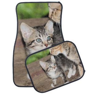 Kitten Car Floor Mat
