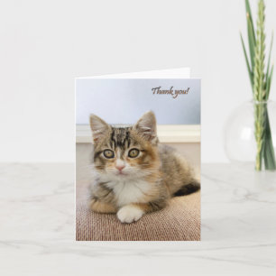 Kitten Card