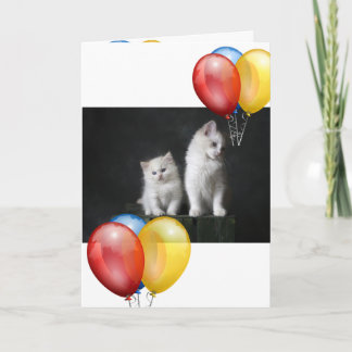 Kitten card