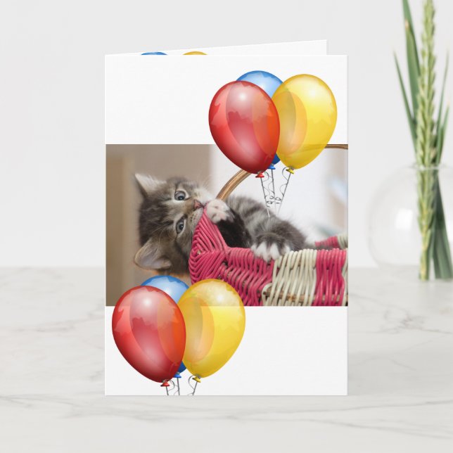 Kitten  card (Front)