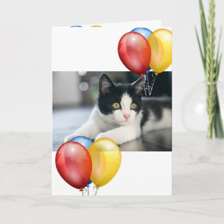 Kitten  card