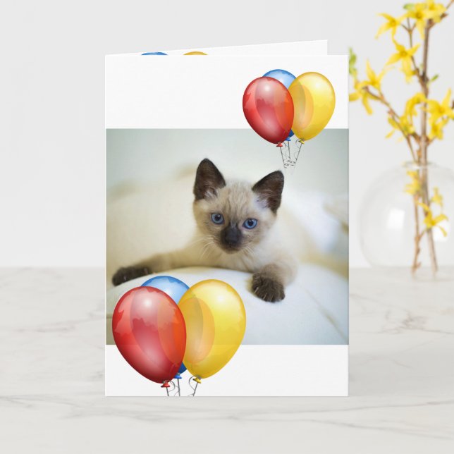 Kitten  card (Yellow Flower)