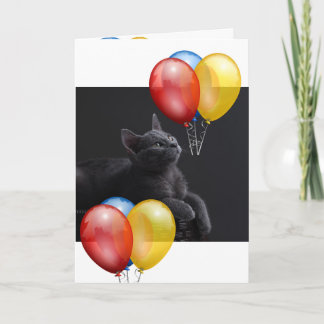 Kitten card
