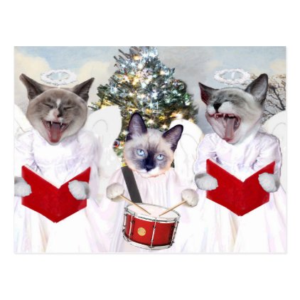 Kitten Carol Holiday Postcard