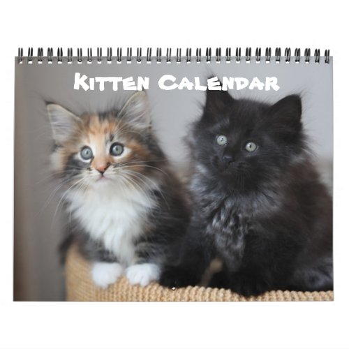 Kitten Cat Cats Baby Cub Home Destiny DestinyS Calendar