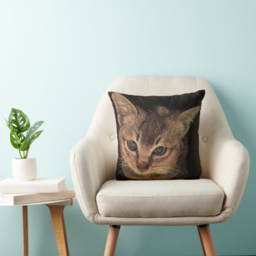 Kitten Cat Cute Custom Personalized  Throw Pillow