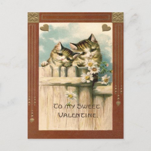 Kitten Cat Daisy Daisies Fence Postcard