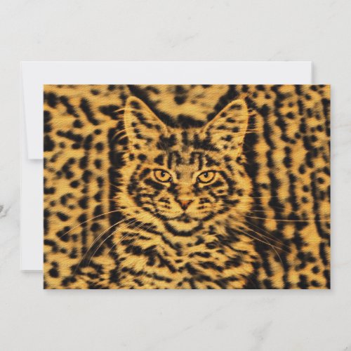 Kitten cat leopard print tiger birthday or plain