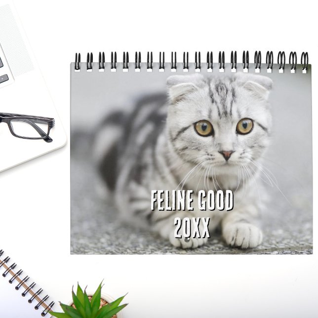 Kitten Cat Lover Photo Collage & Funny Cat Jokes Calendar (Creator Uploaded)