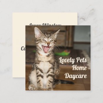 Kitten Cat Pet Sitter Square Business Cards by pamdicar at Zazzle