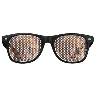 KITTEN CAT SUNGLASSES