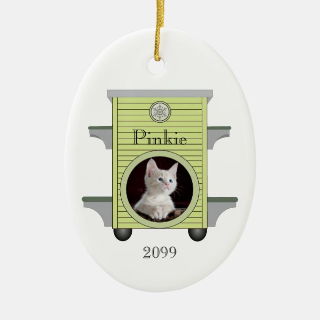 Kitten Cat Upload Photo Cat House Metal Ornament (Front)