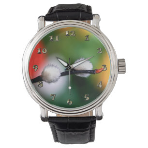 Kitten Cats Paw Flower Bloom Watch