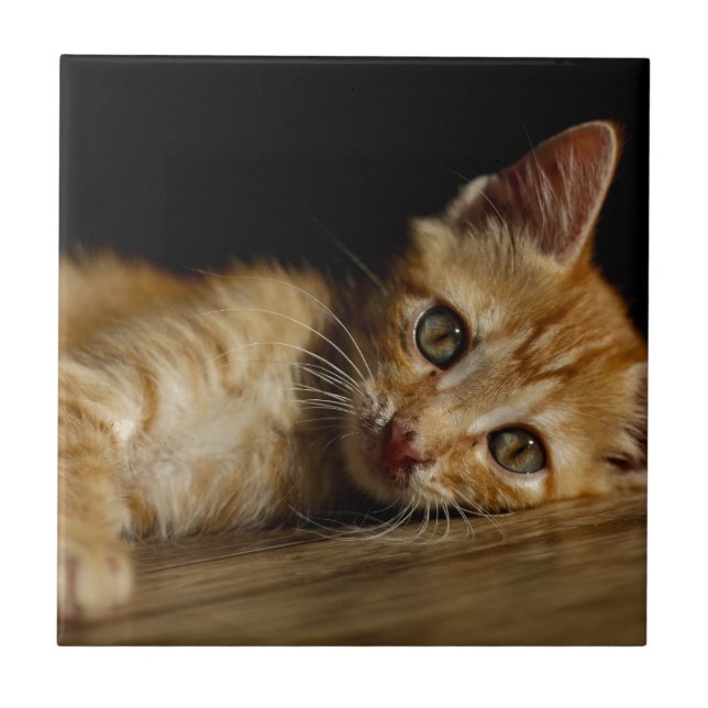 Kitten Ceramic Tile (Front)