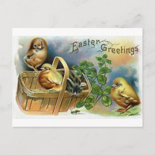 Kitten Chicks  Clover Vintage Easter Holiday Postcard