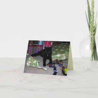 Kitten Christmas Holiday Card