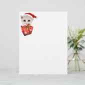 Kitten Christmas Santa with Gift (Standing Front)