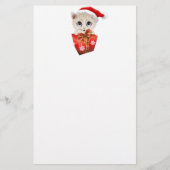 Kitten Christmas Santa with Gift (Front)