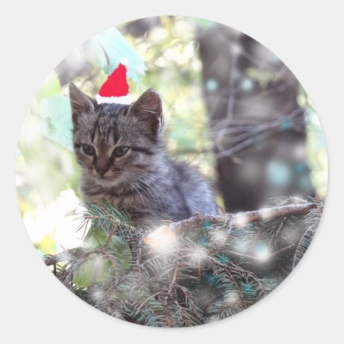 Kitten Christmas time Classic Round Sticker