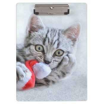 Kitten Clipboard by MarblesPictures at Zazzle