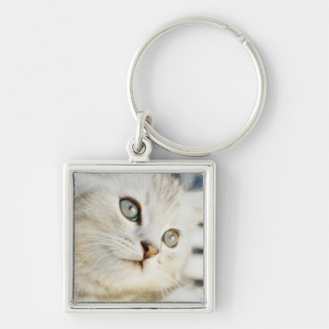 Kitten, close-up 2 keychain (Front)