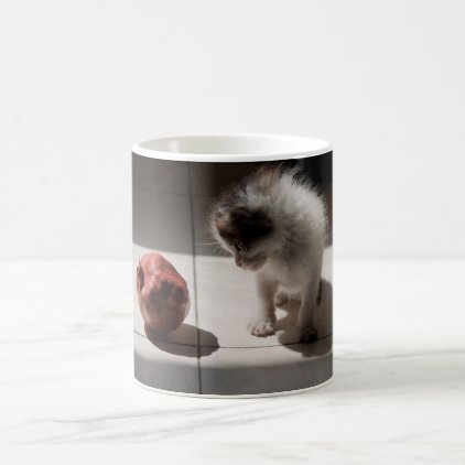 Kitten Coffee Mug