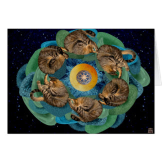 Kitten Cosmos Cards