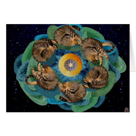 Kitten Cosmos Cards (Front Horizontal)