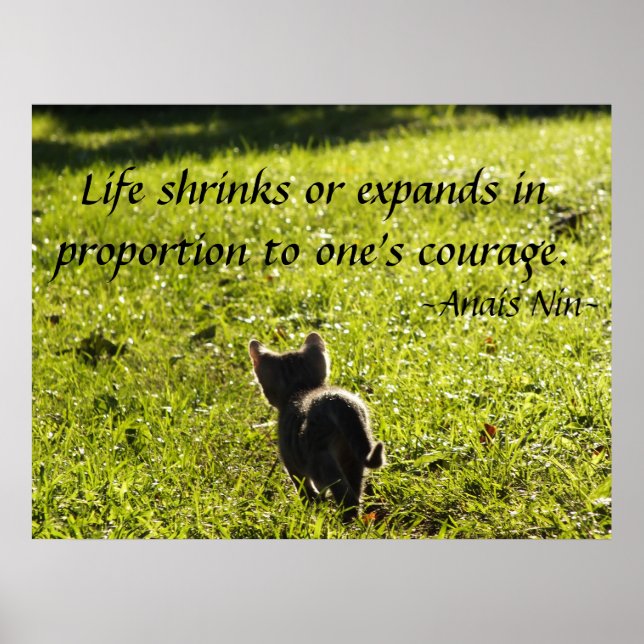 Kitten Courage Poster (Front)