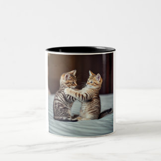 Kitten Cuddle Coffee Mug
