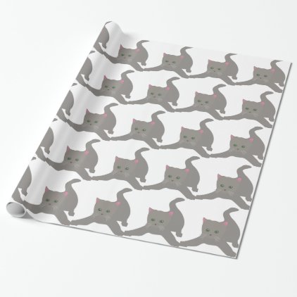 kitten cute baby animal fun joy happy beautiful wrapping paper