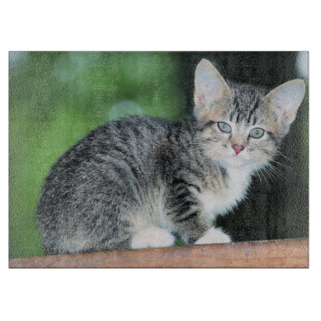 Kitten Cutting Board (Front)